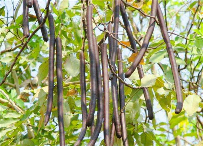 image003.jpg image003.jpg