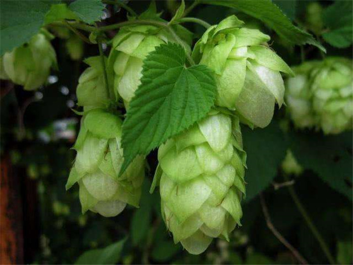 image005.jpg image005.jpg