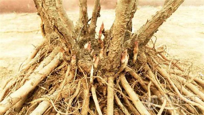 image005_副本2.jpg image005_副本2.jpg