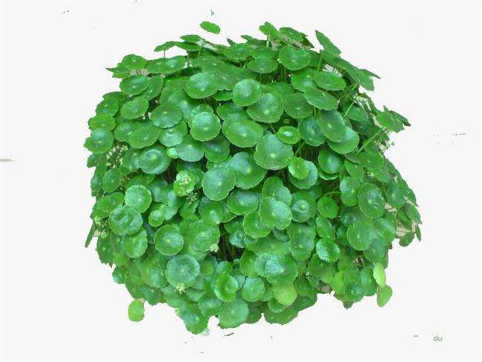 image017.jpg image017.jpg