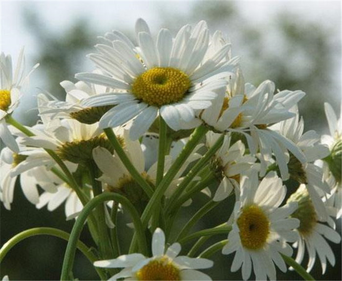 image023.jpg image023.jpg