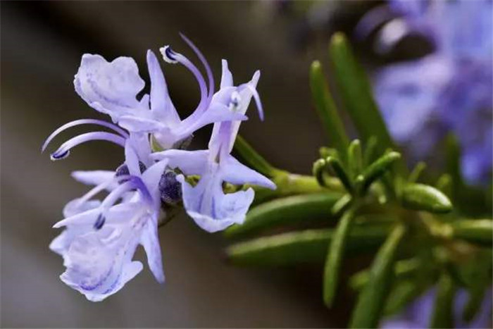 image025.jpg image025.jpg