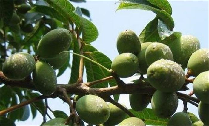 image013.jpg image013.jpg