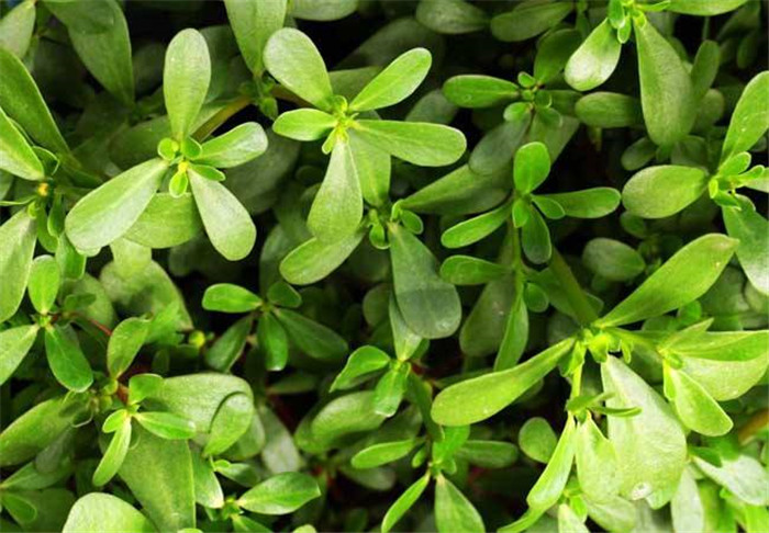 image015.jpg image015.jpg